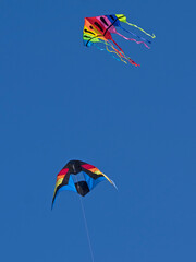 Isolated funny multicolored kites flying in the blue sky
