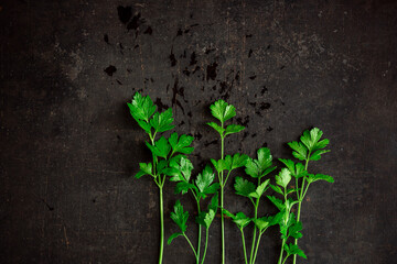 Parsley leaves on a dark rusty background. Copy space.