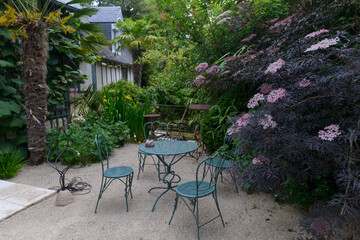 Obraz premium Jardin Agapanthe, Grigneuseville, 76, Seine Maritime, Normandie