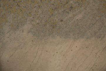 background of semi-wet brown concrete. background, wet, concrete, brown, texture