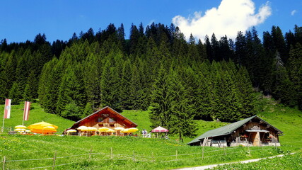 Fototapeta na wymiar Wanderhütten am Weg im Bärunttal im Keinwalsertal auf grüner Wiese und Wald unter blauem Himmel