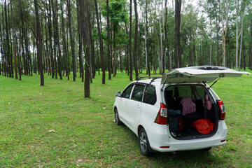 picnic with car in pine forest at northern of Thailand, Copy space.