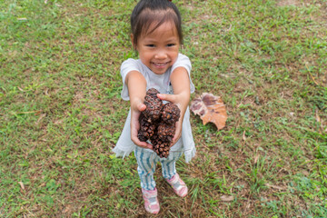 Asiand Child in the forest holds a handful of pine cones show to camera.