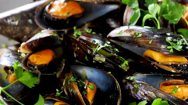 mussel and parsley