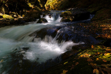 秋の山の奥にある清流の風景