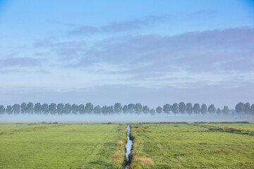 water of ditch reflects blue sky on early summer morning in the green meadow area near amsterdam in...