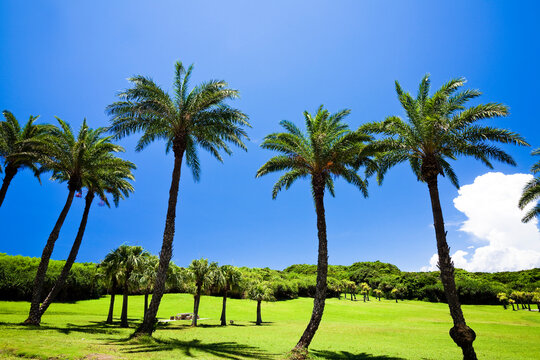 This scenic area is located in Kenting National Park in Pingtung, Taiwan.