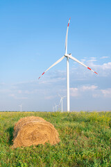 wind turbines in a field against the sky