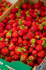 strawberries in a box