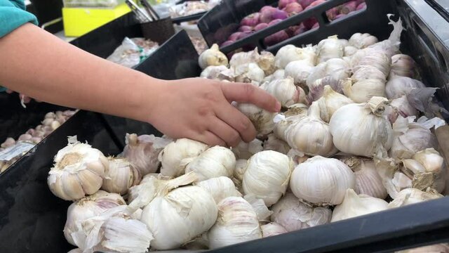 garlic in the market