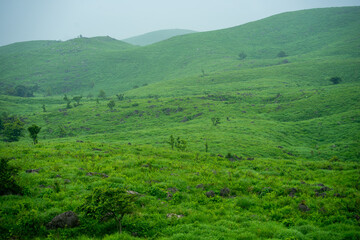 山