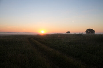 Fototapeta premium Romantic landscape-the sun rises on the horizon over a summer meadow with tall grass and a country road and fog defocused and a space to copy in the Moscow region in Russia