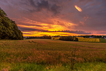 Fototapeta premium Sunset over the Danish meadow