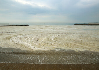  Sea ​​saliva in the marmara sea. Adversely affect natural life and the environment.