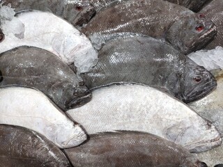 sea fish in the market. side fish or halibut (Pleuronectiformes). flat shaped fish