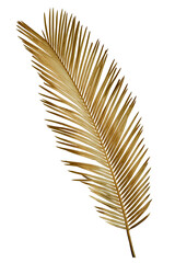 leaves of palm Gold color tree on white background.clipping path