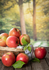 Apples Outdoors on Wooden Table