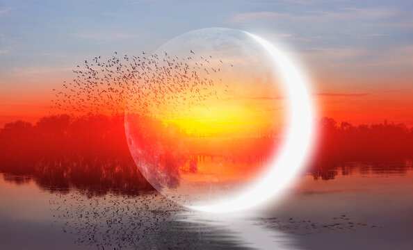 Silhouette of birds flying above the lake crescent moon in the background at amazing sunset "Elements of this image furnished by NASA "