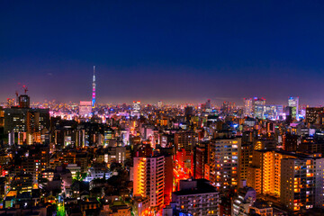 Fototapeta na wymiar 東京夜景　スカイツリーと都心の街並み　
