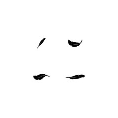 feather icon