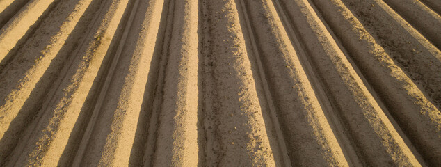 High-quality cultivated soil for planting agricultural crops.