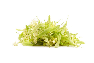 Linden flowers isolated on white background. Fresh tilia flowers