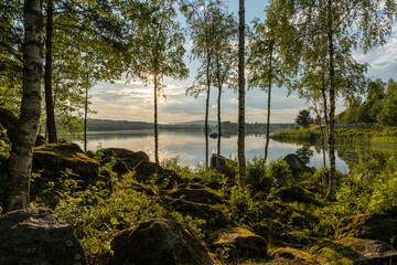 moss covered boulders and birch trees on the shores of a calm idyllic lake in warm evening light