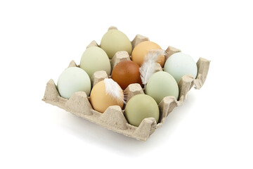 Chicken eggs in tray isolated on white background. Nine eggs