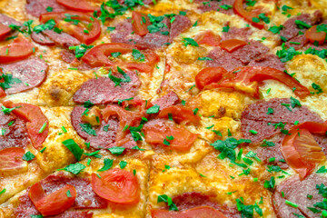 Obraz na płótnie Canvas Fresh tasty pizza with salami, tomatoes, cheese and herbs. Delicious sliced pizza