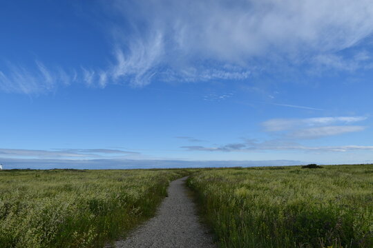 A path in the grass under a blue sky, Matane, Qu&eacute;bec, Canada