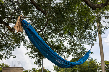 Blue netting nylon hammock tied to a large tree branch.