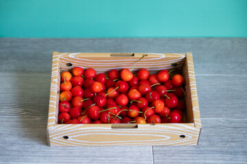 箱詰めされた大量のさくらんぼ チェリー　ふるさと納税の返礼品