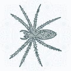 Spider Mandala Vector. Vintage decorative elements. Oriental pattern,