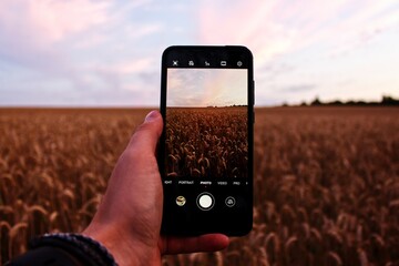 mobile phone in hand