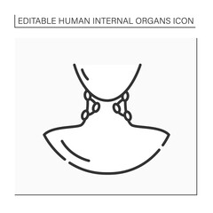 Lymph nodes line icon. Kidney-shaped organ of lymphatic system. Medical treatment. Body parts. Human internal organs concept.Isolated vector illustration.Editable stroke