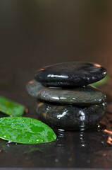 Rocks and green leaf