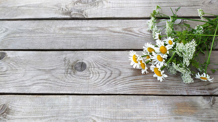 Bouquet of daisies. Wildflowers chamomile lie on the porch. Wooden background, top view.