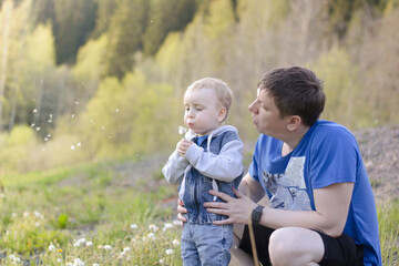 Dad with a young son on the field in the summer, the child and dad blow on dandelion