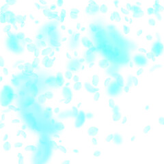 Turquoise flower petals falling down. Posh romanti