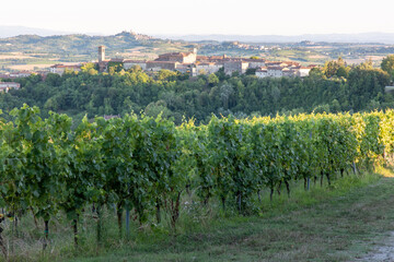 Fototapeta na wymiar panoramic view of Monferrato hills Piedmont Italy