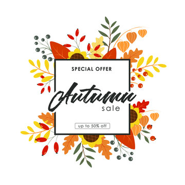 Autumn Sale Banner with Fallen Maple Leaves on Branches, Promo Advertising Poster, Store Discount Flyer or Off Voucher. Floral aumumn frame with sunflowers, berries, winter cherry and autumn leaves