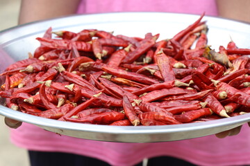 Dried red chili selectively focused. It is the most useful cooking spice.Dried red chili or chilli cayenne pepper held on hand.