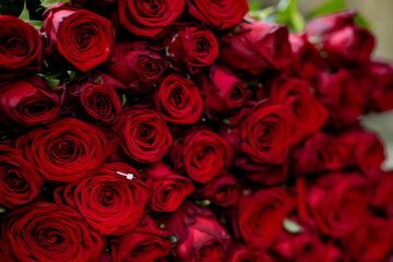 Engagement ring in red roses , gold ring with diamond