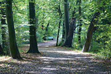Parklandschaft Parkbank mit Wanderweg und Biberschutz