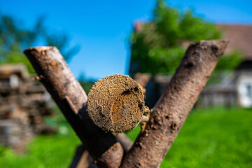 Round small pine log on wooden sawhorse prepared for a cut .