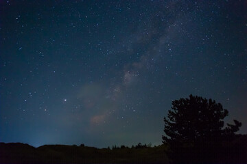 Fototapeta na wymiar night starry sky above forest silhouette