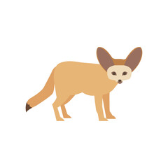 Fennec fox. isolated illustration