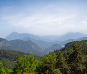 Fototapeta na wymiar green mountain valley in blue mist