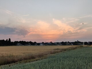 Abend mit Sonnenuntergang in Südhessen mit Kornfeldern und den durch Dürren im Klimawandel üblichen Wasserkanonen der Felderbewässerung ohne die nichts mehr wachsen würde
