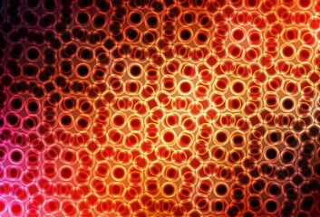 Dark Red vector backdrop with dots.